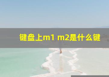 键盘上m1 m2是什么键